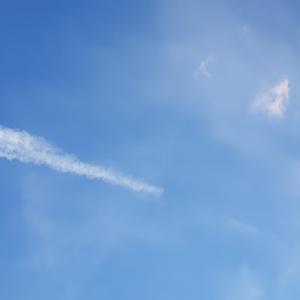 On the Run Freestyle