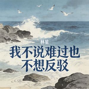 我不说难过也不想反驳