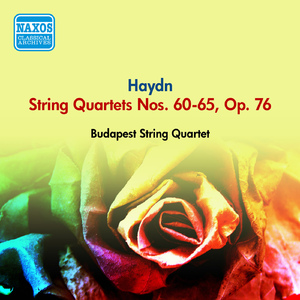 String Quartet No. 61 in D Minor, Op. 76, No. 2, Hob.III:76, "Fifths":I. Allegro