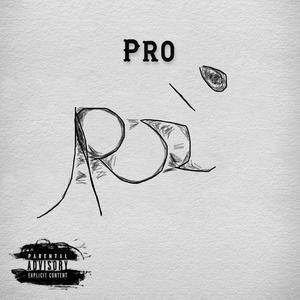 Pro