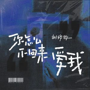 你怎么不回来爱我