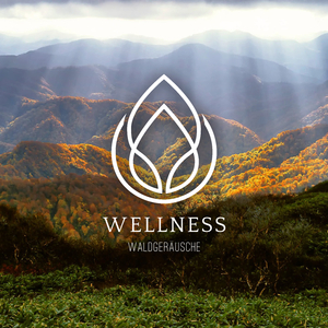 Waldgeraeusche für Kinder zum Entspannen