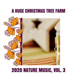 Enjoy the Bliss of Cricket Noise