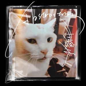 抽象派（Abstraction）