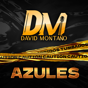 AZULES
