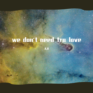 we don't need tru love（demo）