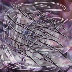 Funghi (feat. Lilbitchescry)