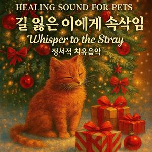 함께 걷는 기억 - Memory We Walk Together