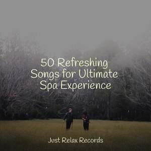 Velvet Midnight Ascension