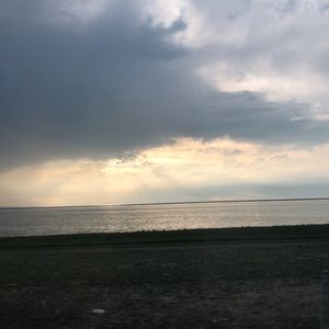 今天精灵怎么了