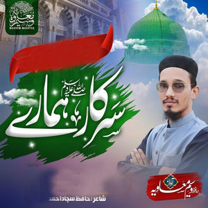Sarkar Hamarey