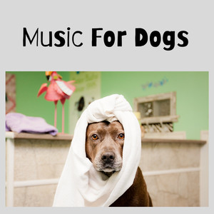 Classical Music for Pets