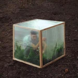 楼顶上的小斑鸠