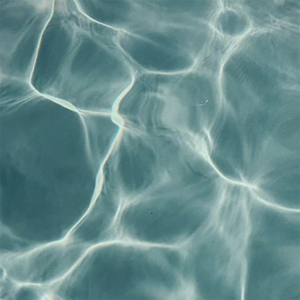 这条小鱼在乎cover