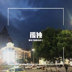 寂寞是因为思念谁（翻自张磊）