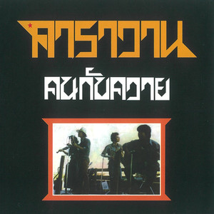 กระต่ายกับเต่าและนกแสงตะวัน