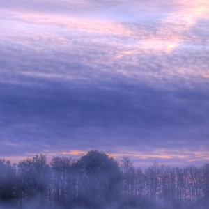 特效巴雷特 (BGM)