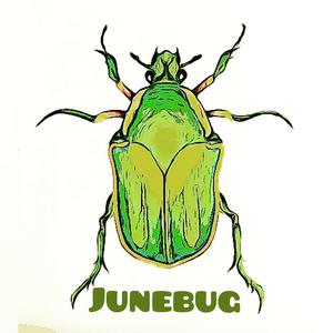 Mighty Ducks (feat. Ayden James)