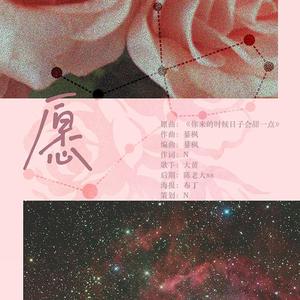 愿