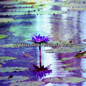 双耳节拍脑电波 等时音 脑电波夹带