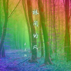 林间的风