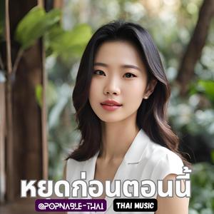 หยุดก่อนตอนนี้ (Stop for Now)