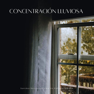 Crece La Concentración En Día Lluvioso