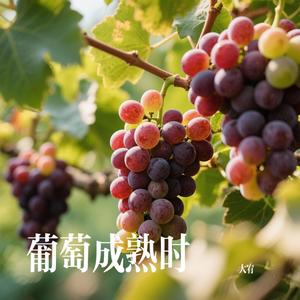 葡萄成熟时