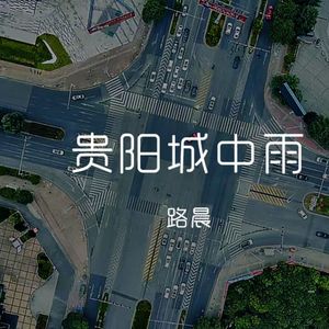 贵阳城中雨