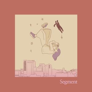 세그먼트
