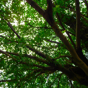 -叹云兮-芸汐传（觉醒之心 Remix）