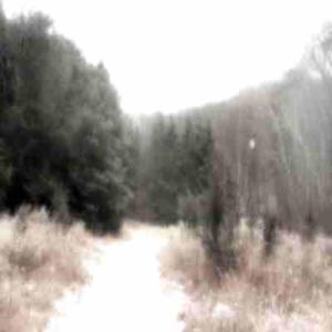 ¯`•.,¸¸,.•´ winter nights `•.,¸¸,.•´¯ •♫•♬•