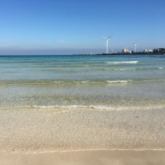 花开花谢花满天