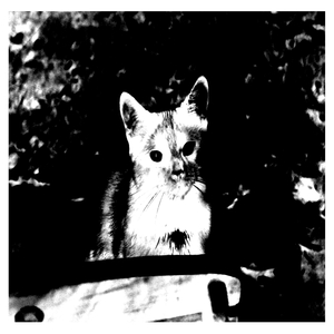 Meijän laki (Saappaat jalassa Mix)