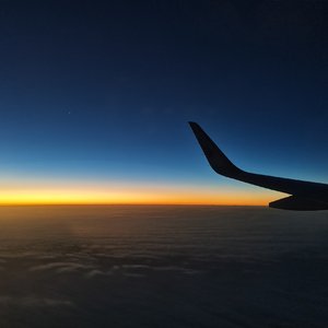 未说出口的三个字