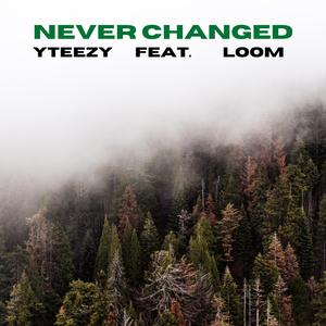 Never Changed (feat. Loom)