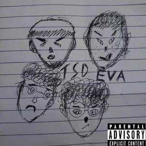 TSD EVA