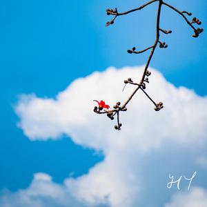 You said you want a cool summer…So I write to you