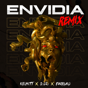 Envidia (Remix)