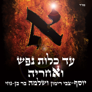 נטף הלילה פז