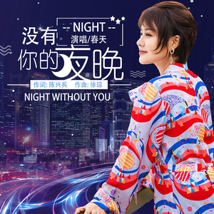 没有你的夜晚 (伴奏)