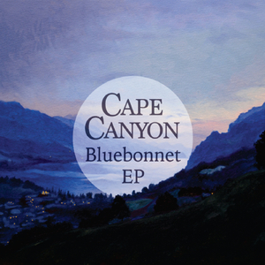 Bluebonnet