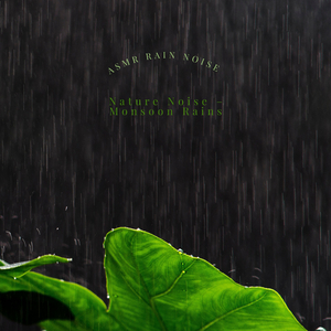 A Soundtrack of Monsoon Rain
