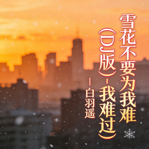 雪花不要为我难过(DJ版)