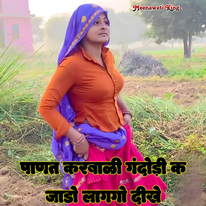 Panat Karbali Gandori K Jado LagGo Dikhe (Vishnu Meena, Batti Lal Meena)