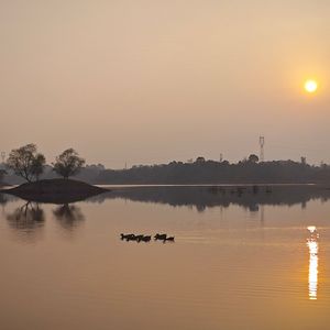 太阳下山有月光
