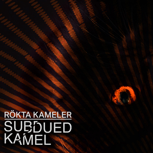 Kassett Kamel I (Original Mix)