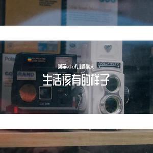 生活该有的样子（翻自 A-Lin）