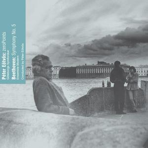 Symphony No. 5 in C Minor, Op. 67: I. Allegro con brio