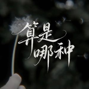 算是哪种